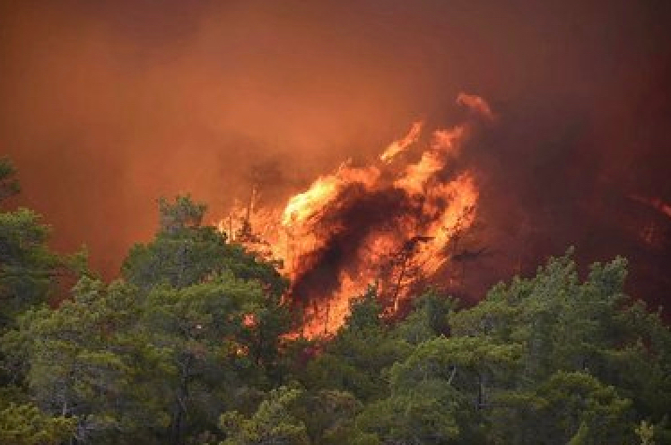 Marmaris’teki yangının üçüncü gününde acı tablo: 4 bin hektar kül oldu