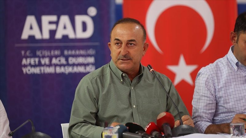 Dışişleri Bakanı Çavuşoğlu: Manavgat orman yangınında düne göre daha iyi durumdayız