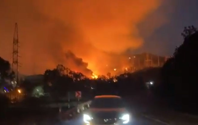 Orman yangınlarında son durum: 223 yangından 217’si kontrol altına alındı, 6’sı sürüyor
