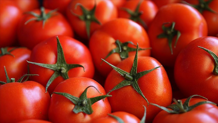 Yok artık dedirtecek domates fiyatı tahmini: ‘AKP’nin tarım politikası ülkeyi bu hale getirdi’