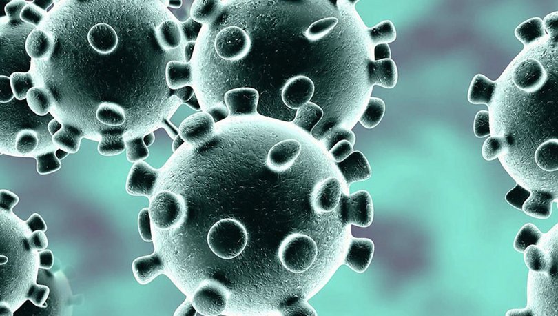 Koronavirüsün yıllar sonra ortaya çıkan etkisi korkuttu