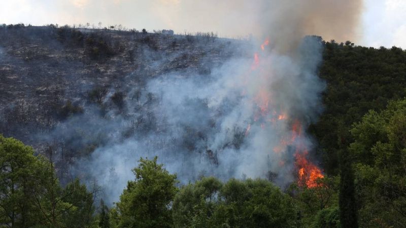 İstanbul’da orman yangını: Alevler binalara yaklaşıyor