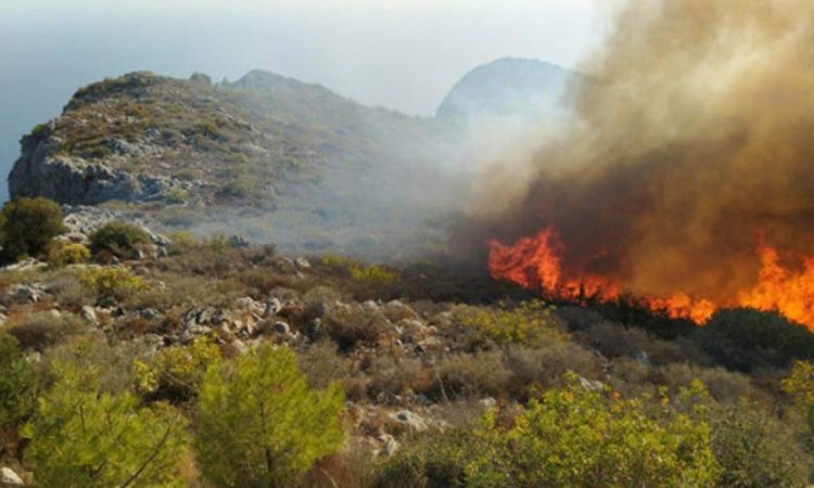 Hawaii’de devam eden orman yangınlarında ölenlerin sayısı 80’e çıktı