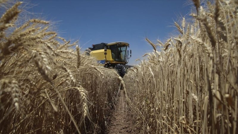 ‘Ankara, Batı’ya muhtaç ülkelerin tahıl anlaşması dahilinde yeterli ürün almadığını defaatle iletti’