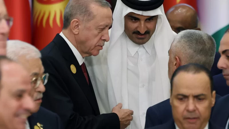 Rus uzman: Erdoğan’ın ‘küresel girişiminin’ başarısı Türk diplomasisinin zaferi olabilir