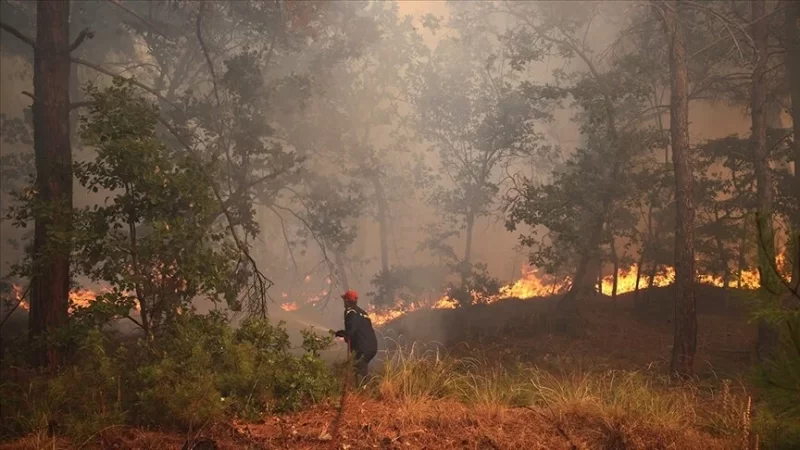 Yunanistan’da çıkan orman yangını devam ediyor